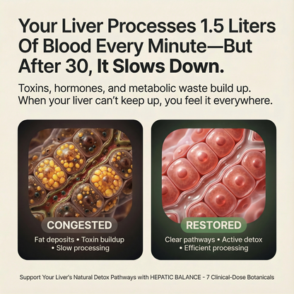 Clinical-Dose Liver Support & Detox Drops |  7-Ingredient Liver Balance Formula